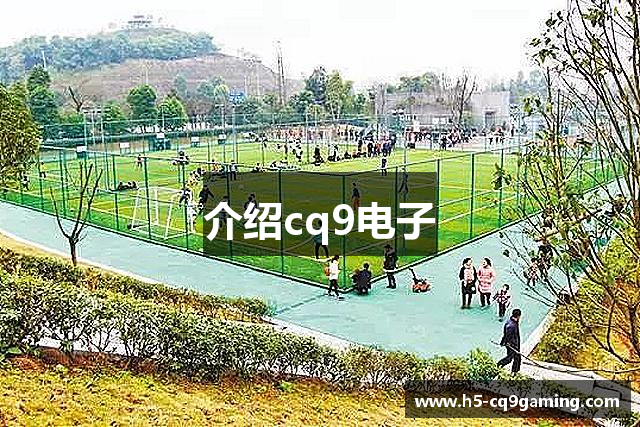 介绍cq9电子